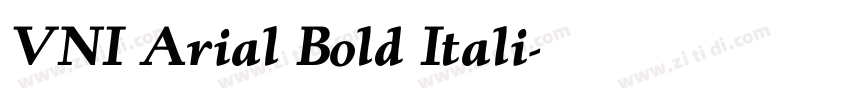 VNI Arial Bold Itali字体转换